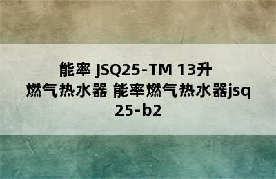 能率 JSQ25-TM 13升 燃气热水器 能率燃气热水器jsq25-b2